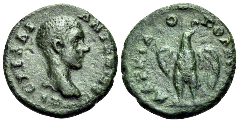 MOESIA INFERIOR. Marcianopolis. Diadumenian, Caesar, 217-218. (Bronze, 17 mm, 2....