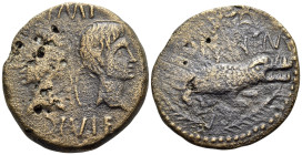 Augustus, with Agrippa, 27 BC-AD 14. As (Bronze, 26 mm, 8.73 g, 5 h), Nemausus, c. 20-10 BC. IMP / DIVI F Heads of Agrippa (left) and Augustus (right)...