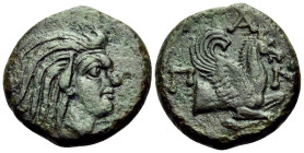 CIMMERIAN BOSPOROS. Pantikapaion. Circa 310-304/3 BC. (Bronze, 16 mm, 3.49 g, 12 h). Head of beardless satyr to right. Rev. P-A-N Forepart of Pegasos ...