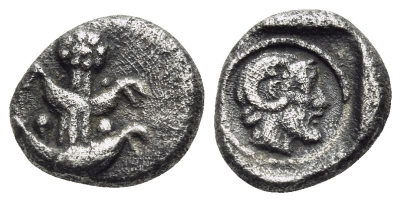 KYRENAIKA. Kyrene. Circa 480-435 BC. Obol (Silver, 8 mm, 0.58 g, 9 h). Silphium ...