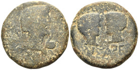 CYRENAICA. Cyrene. Drusus, with Tiberius and Germanicus Gemellus, Caesar, 19-23. Dupondius (Bronze, 27 mm, 15.41 g, 12 h). ]ΔΡΟΥΣΟΣ ΚΑΙΣΑΡ ΑΥΓΟΥΣΤΟΥ Υ...