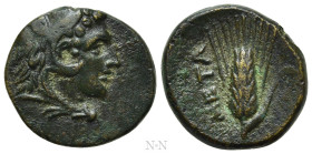 LUCANIA. Metapontion. Ae (Circa 300-250 BC)