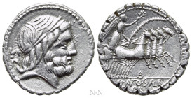 Q. ANTONIUS BALBUS. Serrate Denarius (83-82 BC). Rome