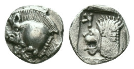 Greek coinsMysia, CyzicusObol circa 450, AR . Forepart of boar l., behind, tunny. Lion’s head l. within incuse square. von Fritze, Silberprägung Kyzik...
