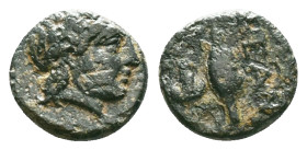 TROAS. Neandria. Ae (4th century BC).Obv: Laureate head of Apollo right.Rev: N-E / A-N.Grain ear; eight pellets around.Reference :Condition: Very Fine