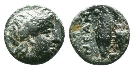 TROAS. Neandria. Ae (4th century BC).Obv: Laureate head of Apollo right.Rev: N-E / A-N.Grain ear; eight pellets around.Reference :Condition: Very Fine