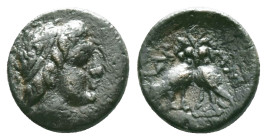CARIA. Antioch ad Maeandrum. (2nd century BC).AE BroneObv: Young male head with taenia right.Rev: ANTIOXE[...]. Double-bodied owl standing facing.Refe...