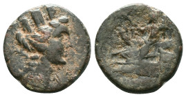 Greek Coins. 4th - 3rd century B.C. AEReference:Condition: Very Fine