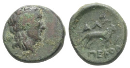 Thrace, Alopeconnesos. Ae, 1,89 g 13,50 mm. ca. 4th-3rd centuries BC.
Obv.: Laureate head of Apollo right.
Rev.: ΑΛΩ-ΠΕΚΟΝ; Fox walking right, barley ...