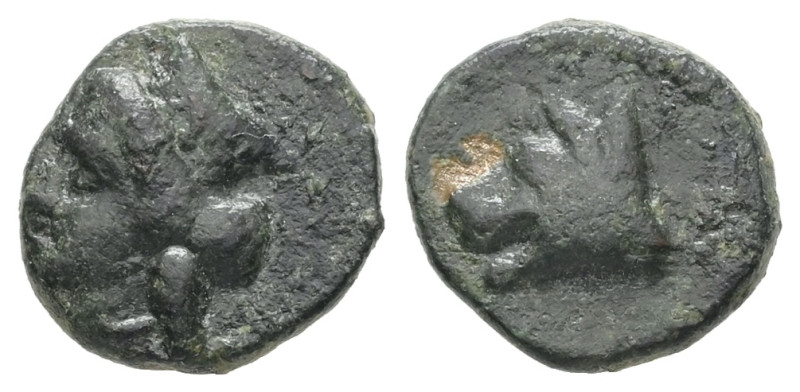 Argolis, Argos. Ae, 1.20 g 11.15 mm. 4th-3rd centuries BC.
Obv: Head of Hera lef...