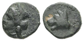 Argolis, Argos. Ae, 1.20 g 11.15 mm. 4th-3rd centuries BC.
Obv: Head of Hera left, wearing polos.
Rev: Head of wolf left.
Ref: BCD Peloponnesos 1120
N...