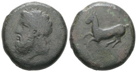 Sicily, Syracuse. Ae Dilitron, 18.94 g 26.40 mm. Timoleon and the Third Democracy. 344-317 BC. 
Obv: Laureate head of Zeus Eleutherios left. 
Rev: Hor...