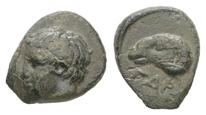 Troas, Gargara. Ae, 0.69 g. 9.59 mm. 4th century BC.
Obv.: Laureate head of Apol...