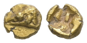 Mysia, Kyzikos. EL 1/48 Stater. 0.33 g. 5.74 mm. Circa 600-550 BC.
Obv.: Head of tunny to left.
Rev.: Incuse square punch.
Ref.: Nomisma VII 3; Hurter...