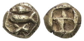 Mysia, Kyzikos. EL Hemihekte, 1.34 g 8.21 mm. Circa 600-550 BC. 
Obv: Tunny right; above, tail of tunny left; below, head of Tunny right 
Rev: Quadrip...