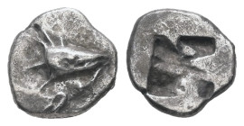 Mysia, Kyzikos AR Hemiobol. 0.33 g 7.85 mm. Circa 600-550 BC.
Obv: Tunny fish head to right with lotus flower in mouth.
Rev: Quadripartite incuse squa...