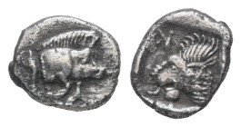 Mysia, Kyzikos. AR Tetartemorion, 0.23 g 7.38 mm. Circa 450-400 BC.
Obv: Forepart of boar to left; to right, tunny fish swimming upwards
Rev. Head of ...