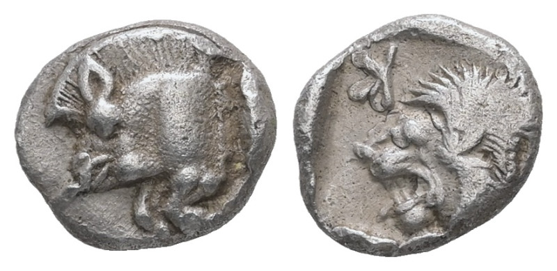 Mysia, Kyzikos. AR Obol, 0.81 g 9.82 mm. Circa 450-400 BC.
Obv.: Forepart of boa...
