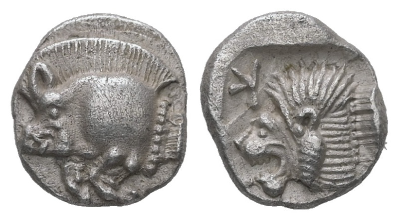 Mysia, Kyzikos. AR Obol, 0.85 g 9.22 mm. Circa 450-400 BC.
Obv.: Forepart of boa...