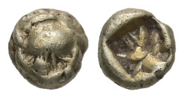 Ionia, Uncertain mint. EL 1/48 Stater, 0.34 g 4.92 mm. Circa 600-550 BC. 
Obv: Stylised bee(?) or scarab(?) 
Rev: Incuse punch. 
Ref: Wiedauer -; Trai...
