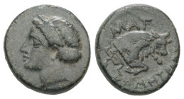 Ionia, Magnesia ad Meandrum. Ae, 2.23 g 14.15 mm. 4th century BC. Uncertain magistrate.
Obv: Laureate head of Apollo left
Rev: MAΓ, forepart of bull r...