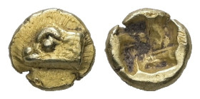 Ionia, Phokaia. EL 1/48 Stater, 0.30 g 5.68 mm. Circa 625-522 BC.
Obv: Head of seal left.
Rev: Incuse square.
Ref: Bodenstedt 2.2; SNG von Aulock 7781...
