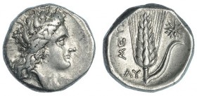 LUCANIA. Metaponto. Estátera (330-290 a.C.). A/ Cabeza de Perséfone a der. con corona de espigas. R/ Espiga con hoja a der., detrás, estrella a der.; ...