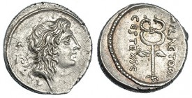 PLAETORIA. Denario. Roma (69 a.C.). A/ Cabeza de Bonus Eventus a der., detrás símbolo. R/ Caduceo alado; M. PLAETORI CEST. EX S.C. FFC-972. SB-5. EBC-...