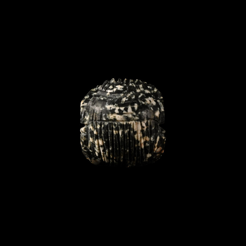 Egyptian Diorite Stone Scarab. Saite Period, 664-525 B.C. Carved in the round wi...
