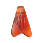 Egyptian Carnelian Fly Amulet. Late Period, 664-332 B.C.