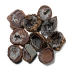 Cut and Polished Agate Crystal Geode Half Group [10].