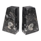 Polished Fossil Goniatite Ammonite Bookend Pair. Devonian Period, circa 400 million years B.P.