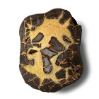 Massive Cut and Polished Septarian 'Egg' Half.