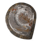 Polished Fossil Goniatite Plate. Devonian Period, circa 400 million years B.P.