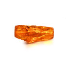 Polished Amber with Insects. Carboniferous Period, over 3 million years B.P.