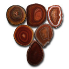 Cut and Polished Agate Slice Collection [6].