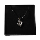 Campo Del Cielo Meteorite Necklace. Fell 6000-5000 years B.P.