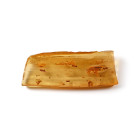 Polished Copal Specimen with a Large Fly and Termites. Carboniferous Period, circa 3 million years B.P.