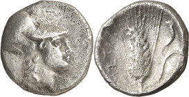 (325-275 a.C.). Italia. Metaponto. Dióbolo. (S. 421) (CNG. I, 1078). 1,07 g. MBC.