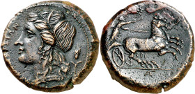 (287-278 a.C.). Sicilia. Siracusa. AE 24. (S. 1209 var) (CNG. II, 1446). Anv.: (). Cabeza de Perséfone a izquierda coronada de espigas, detrás espiga....