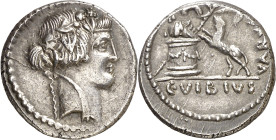(hacia 42 a.C.). Gens Vibia. Denario. (Bab. 24) (Craw. 494/36). Anv.: Cabeza de Baco coronada de hiedra. Rev.: C. VIBIVS VARVS. Pantera saltando a izq...