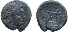 Greece (ancient) Kyrene Kyrenaica 282 BC - 261 BC AE (Apollo, Kithara) Bronze 4.5g VF BMC 319-25 SNG Copenhagen 1266-72