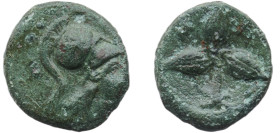 Greece (ancient) Metapontion Lucania 300 BC - 250 BC AE (Athena & Three barley grains) Bronze 1.9g VF HN Italy 1686 HGC 1 1119 SNG Morcom 289
