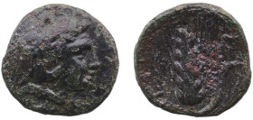 Greece (ancient) Metapontion Lucania 300 BC - 250 BC AE (Herakles & Barley ear) Bronze 2.08g VF HN Italy 1696 SNG Copenhagen 1253 SNG ANS 2 567 Johnst...