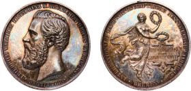 Germany City of Bremen German states 1873 Medal - Preismedaille der internationalen Landwirtschaftsausstellung Silver 49.52g UNC Jungk 58 Slg Marienbu...