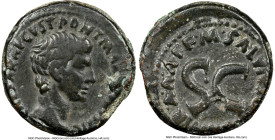 Augustus (27 BC-AD 14). AE as (26mm, 11h). NGC Choice Fine, light smoothing. Rome, ca. 7 BC, Marcus Salvius Otho, moneyer. CAESAR•AVGVST•PONT•MAX•TRIB...