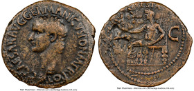 Gaius (Caligula) (AD 37-41). AE as (30mm, 10.38 gm, 7h). NGC VF 4/5 - 1/5, die shift. Rome, AD 37-38. C•CAESAR•AVG•GERMANICVS•PON•M•TR•POT, bare head ...