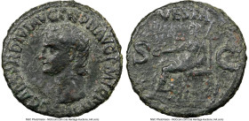 Gaius (Caligula) (AD 37-41). AE as (28mm, 7h). NGC Fine, light smoothing. Rome, AD 40-41. C CAESAR DIVI AVG PRON AVG P M TR P IIII P P, bare head of C...