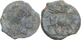 Greek Italy. Central and Southern Campania, Neapolis. AE 17.5 mm, c. 275-250 BC. Contemporary counterfeit (?). Obv. [NEOΠOΛITΩN]. Laureate head of Apo...