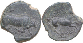 Greek Italy. Northern Apulia, Arpi. AE 19 mm, c. 275-250 BC. Obv. Bull charging right; below, ΠΟΥΛΛΙ. Rev. APΠA/NOY. Horse rearing right. HGC 1 535; H...